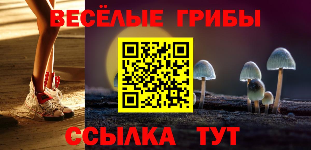 Миллерово  Псилоцибиновые грибы Cubensis  Вход с VPN 