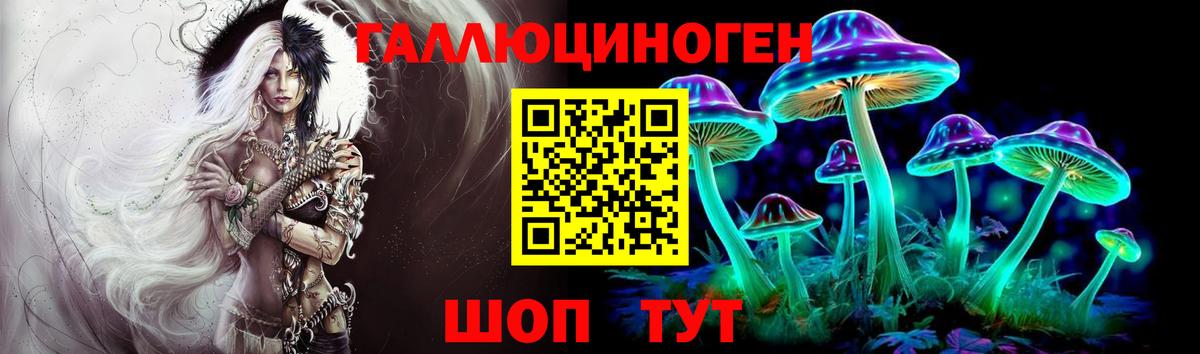 Псилоцибиновые грибы GOLDEN TEACHER Миллерово