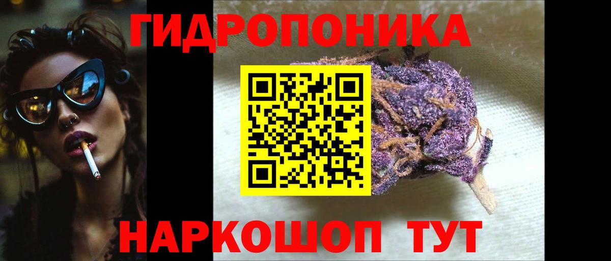 Каннабис план Миллерово